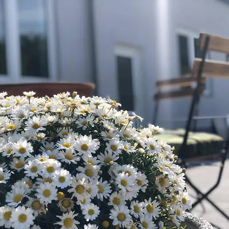 Zum Stein 3* Hohenkirchen (Nordwestmecklenburg)